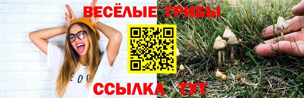 Галлюциногенные грибы Cubensis  Вход с VPN  Ишим 