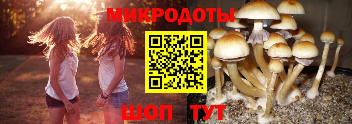Псилоцибиновые грибы прущие грибы Ишим